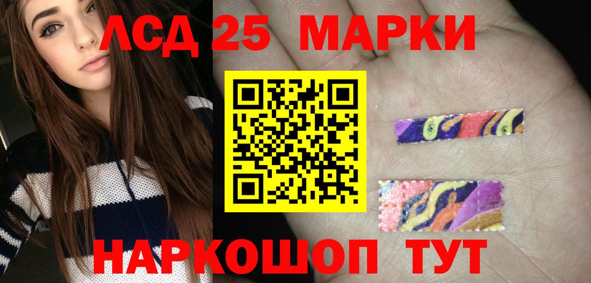 Грозный  blacksprut зеркало  Вход с VPN  Лсд 25 экстази кислота 