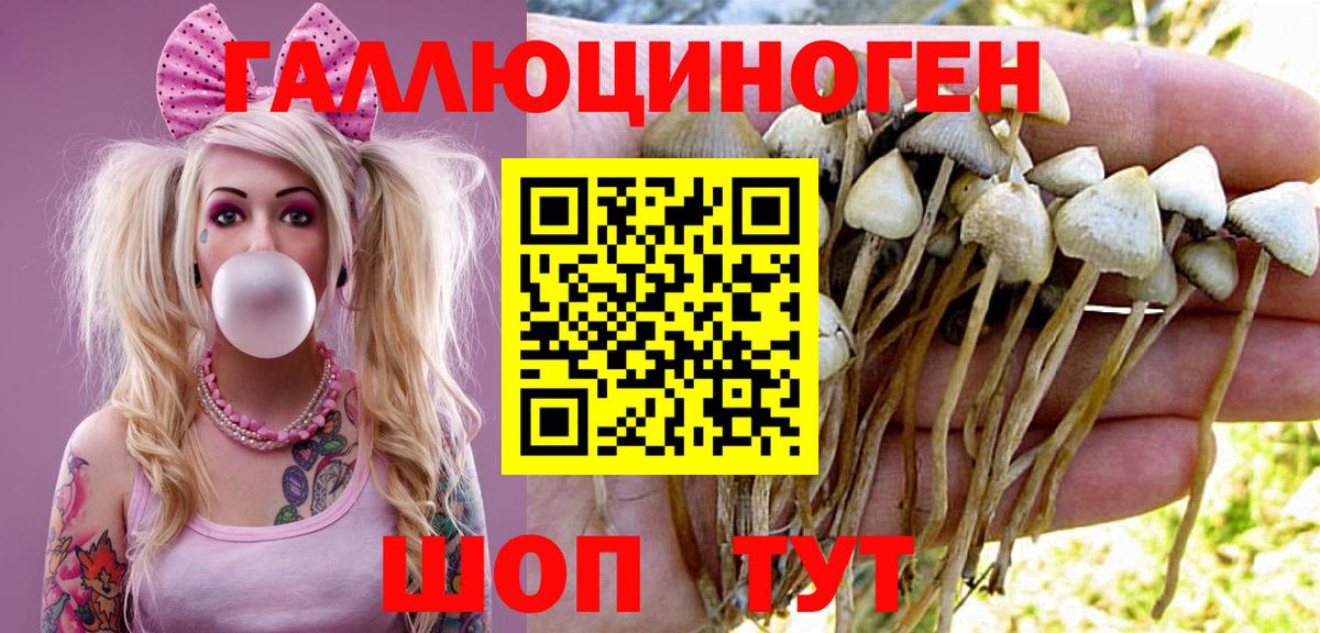 Грозный  Галлюциногенные грибы мухоморы  купить наркотик  Галлюциногенные грибы MAGIC MUSHROOMS  Вход с VPN 