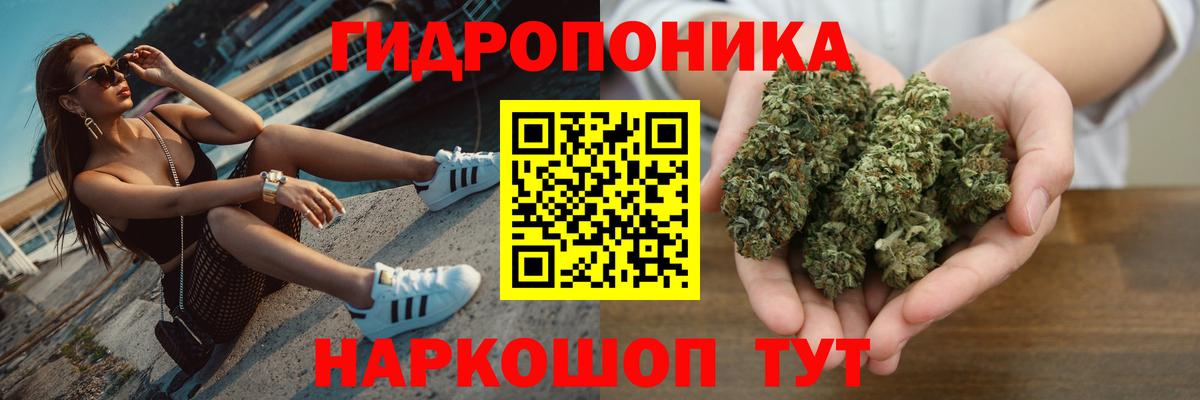 Канабис ГИДРОПОН Грозный